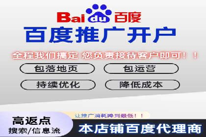 某行业巨头如何利用百度推广服务费提升业绩